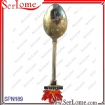 Souvenir Spoon