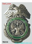 USA Army Badge
